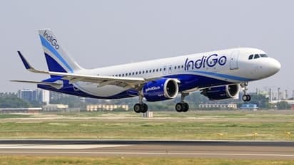 What is the 'Cute Fee' on IndiGo Tickets? Here’s what it means