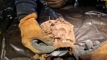 Gruesome discovery: 5 skeletons missing their hand, feet found under Hitler's military HQ in Poland (WATCH)