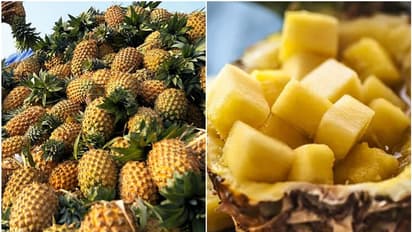 കൊടുംചൂടിൽ പൈനാപ്പിളിൽ തൊട്ടാലും പൊള്ളും! വില സർവകാല റെക്കോഡിൽ, കിലോ 15 രൂപയിൽ നിന്ന് കുതിച്ചത് 80 ലേക്ക്