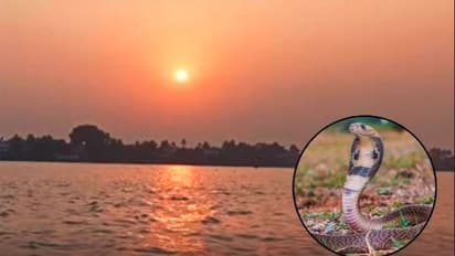 ಪವಾಡವಾಗುವ ನಂಬಿಕೆ: ಹಾವು ಕಚ್ಚಿ ಮೃತನಾದ ಯುವಕನ ಶವ ಗಂಗೆಯಲ್ಲಿ ಮುಳುಗಿಸಿಟ್ಟ ಪೋಷಕರು