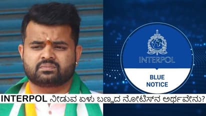 ಏನಿದು ಬ್ಲ್ಯೂ ಕಾರ್ನರ್ ನೋಟಿಸ್, ಇಂಟರ್ಪೋಲ್ನ ಕಲರ್ ಕೋಡ್ ನೋಟಿಸ್ನ ಅರ್ಥವೇನು?