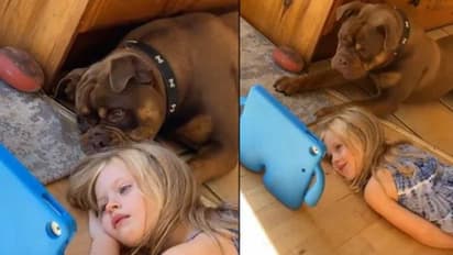 മകളുടെ സ്ക്രീൻ ടൈം കുറയ്ക്കാൻ അടിപൊളി വഴി കണ്ടെത്തി, ഇപ്പോൾ ഇരട്ടിപ്പണി, ആകെ പെട്ട് മാതാപിതാക്കൾ