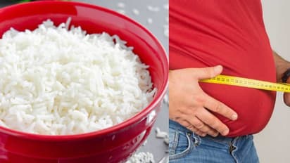 വയറു കുറയ്ക്കാന് ഉച്ചയ്ക്ക് ചോറിന് പകരം ഈ 8 ഭക്ഷണങ്ങള് കഴിക്കൂ