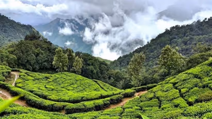 மூணாறுக்கு 3 நாள் டூர்.! கட்டணம் இவ்வளவு தானா.? தமிழ்நாடு சுற்றுலா துறை அசத்தல் அறிவிப்பு