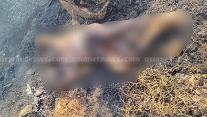 കുറ്റിപ്പുറത്ത് പുൽക്കാടിന് തീപിടിച്ചു, അണച്ച് കഴിഞ്ഞപ്പോൾ നടുക്കം: കത്തിക്കരിഞ്ഞ നിലയിൽ പുരുഷന്റെ മൃതദേഹം 