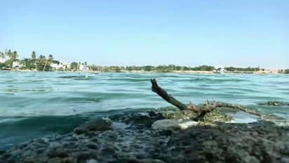 ಚಿತ್ರದುರ್ಗ: ಬಿಸಲಿನ ತಾಪಕ್ಕೆ ಎಂಕೆ ಹಟ್ಟಿ ಕೆರೆಯಲ್ಲಿ ಮೀನುಗಳ ಮಾರಣಹೋಮ! 