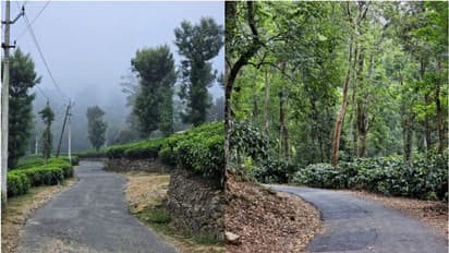 ഈ കൊടും ചൂടിലും ഇങ്ങനെയൊരു സ്ഥലം, 6മുതല്‍ 10 ഡിഗ്രിവരെ ചൂട് കുറവ്, കോടമഞ്ഞ്, അതും കേരളത്തില്‍