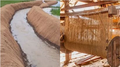 പഞ്ചത്തോടിന് ചന്തം ചാർത്തി കയർ ഭൂവസ്ത്രം; വിരിച്ചത് 12600 ചതുരശ്ര അടി പ്രദേശത്ത്, കലുങ്കുകളും പുതുക്കിപ്പണിതു