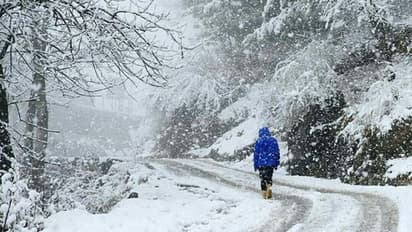  तपती गर्मी से मिलेगी राहत, उठाइये बैग और घूम आएं Manali, हर तरफ मिलेगी बर्फ ही बर्फ