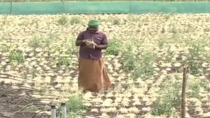 ಮತ್ತೆ ಕೈ ಕೊಟ್ಟ ಪೂರ್ವ ಮುಂಗಾರು: ಚಾಮರಾಜನಗರ ಜಿಲ್ಲೆಯಲ್ಲಿ ಅಂತರ್ಜಲ‌ ಕುಸಿತ