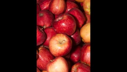 ദിവസവും ഒരു ആപ്പിൾ കഴിച്ചോളൂ, ഗുണമിതാണ്