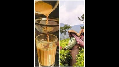 ಒಂದು ವಾರ ಟೀ ಕುಡಿಯೋದು ಬಿಟ್ರೆ ಏನಾಗುತ್ತೆ? ದಿನಕ್ಕೆ ಎಷ್ಟು ಕಪ್  ಕುಡಿಯೋದು ಉತ್ತಮ?