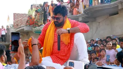 Lok Sabha Elections 2024: BJP expels actor-turned-politician Pawan Singh for contesting against NDA candidate