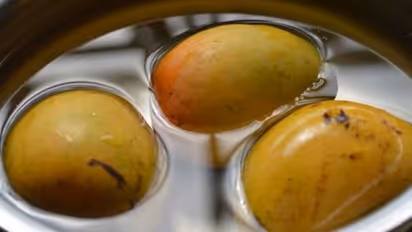 Why soaking mangoes in water is important? Know what experts say