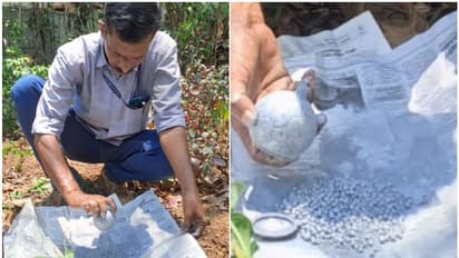 ഗ്ലാസ് കടയുടെ സമീപത്ത് ബോംബിന് സമാനമായ ഐസ്ക്രീം ബോൾ പോലെയുള്ള വസ്തു; ബോംബ് സ്ക്വാഡ് പരിശോധിച്ചു