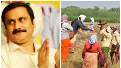 பல்லிளிக்கும் ஏற்றத்தாழ்வு: சமச்சீரான வளர்ச்சியை ஏற்படுத்துவதில் திமுக, அதிமுக படுதோல்வி - அன்புமணி காட்டம்