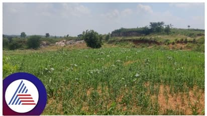 ಬೆಂಬಲ ಬೆಲೆ ನಿಗದಿಪಡಿಸುವ ಕೃಷಿ ಬೆಲೆ ಆಯೋಗಕ್ಕೆ ಗ್ರಹಣ: ಅಧ್ಯಕ್ಷರಿಲ್ಲದೆ 2 ವರ್ಷ