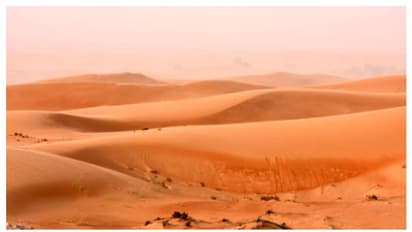 യുഎഇയില് മണല്ക്കാറ്റ് മുന്നറിയിപ്പ് നല്കി കാലാവസ്ഥ വകുപ്പ്; മഴയ്ക്കും സാധ്യത