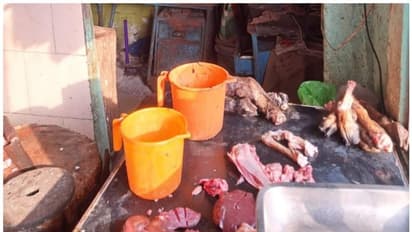 അടുക്കളയും പരിസരവുമെല്ലാം വൃത്തിഹീനം, മാലിന്യ സംസ്കരണം പേരിനുപോലുമില്ല; ഹോട്ടലുകളിലും കടകളിലും പരിശോധന