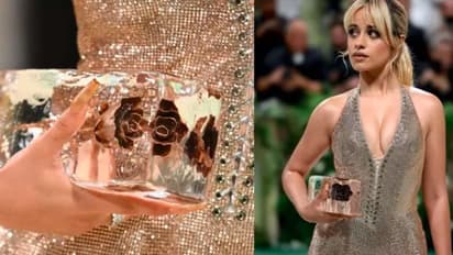 ಮೆಟ್ ಗಾಲಾಗೆ ಐಸ್ನಿಂದ ಮಾಡಿದ ಪರ್ಸ್ ಹಿಡಿದುಕೊಂಡ ಬಂದ ಖ್ಯಾತ ಸೆಲೆಬ್ರಿಟಿ