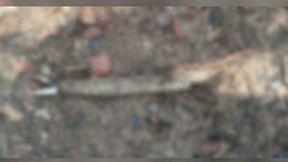 വിറക് ശേഖരിക്കാനെത്തിയപ്പോൾ കണ്ടത് മനുഷ്യൻെറ അസ്ഥികൂടം; സംഭവം കഞ്ചിക്കോട് കോച്ച് ഫാക്ടറിക്കായുള്ള ഭൂമിയിൽ