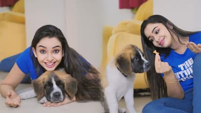 നമ്മളെക്കാളേറെ നമ്മെ സ്നേഹിക്കുന്ന ജീവികളാണ് നായകളെന്ന് ആലീസ് ക്രിസ്റ്റി