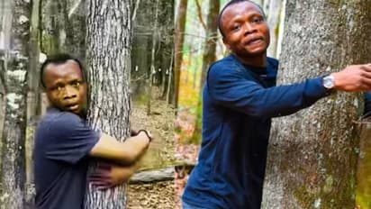 മണിക്കൂറിൽ 1100 മരങ്ങളെ കെട്ടിപ്പിടിച്ച് യുവാവ്, വീഡിയോ, ഒടുവില്‍ ​ലോക റെക്കോർഡിൽ പേര് 