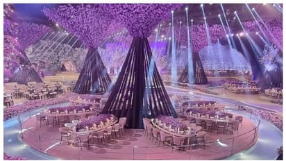 'എടാ മോനെ.. ഇത് പൊളിച്ചൂ'; ലാവെൻഡർ പ്രമേയമാക്കി 75 ദിവസം കൊണ്ട് നിർമ്മിച്ച വിവാഹവേദി വൈറല്