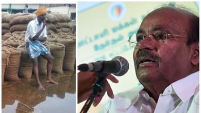 Ramadoss: 12,000 நெல் மூட்டைகள் மழையால் சேதமடைந்ததை மூடி மறைக்க முயற்சிப்பதா? ராமதாஸ் ஆவேசம்