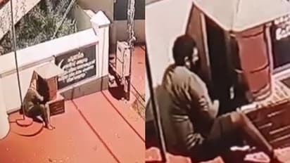 പള്ളിയുടെ ഭണ്ഡാരം കുത്തിതുറന്ന് മോഷണം; സിസിടിവി ദൃശ്യങ്ങള്‍ പുറത്ത്, പ്രതിയ്ക്കായി അന്വേഷണം