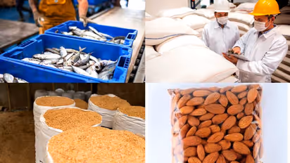 മീൻ മുതൽ അരി വരെ സർവത്ര മായം; 400 ഇന്ത്യൻ ഭക്ഷ്യ ഉൽപന്നങ്ങൾക്ക് നിരോധനവുമായി യൂറോപ്യൻ യൂണിയൻ