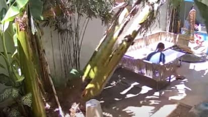 'എന്റമ്മോ ഇതൊക്കെയാണ് ഭാഗ്യം'; തലനാരിഴയ്ക്ക് ജീവനോടെ രക്ഷപ്പെട്ടതിന്റെ അമ്പരപ്പിൽ യുവാവ്