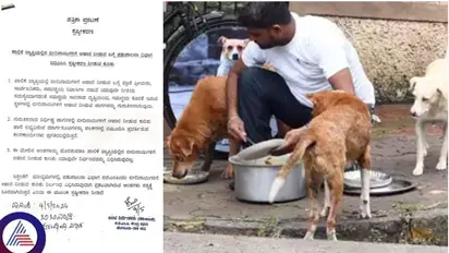 No restrictions on feeding stray dogs in Bengaluru, clarifies BBMP