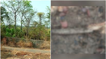 കഞ്ചിക്കോട് കോച്ച് ഫാക്ടറിക്ക് വേണ്ടി ഏറ്റെടുത്ത ഭൂമിയിൽ അസ്ഥികൂടം കണ്ടെത്തി