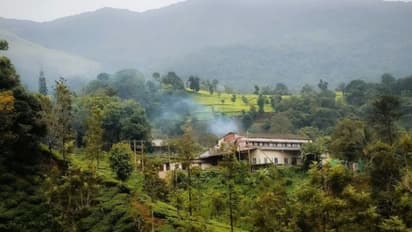 Tourist Attractions near Wayanad : वायनाड से भी ज्यादा खूबसूरत ये हिल स्टेशन, एक बार जरूर करें दीदार 