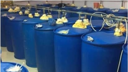 ഈ വർഷത്തെ ഏറ്റവും വലിയ മദ്യവേട്ട; നാല് പ്രവാസികൾ കുവൈത്തിൽ അറസ്റ്റിൽ