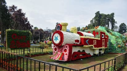 டிஸ்னி உலகம், மலை ரயில் என காண்போர் கண்களை கொள்ளை கொள்ளும் உதகை மலர் கண்காட்சி