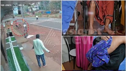 മലപ്പുറത്ത് രണ്ടിടത്ത് കാട്ടുപന്നി ആക്രമണം; വീട്ടുമുറ്റത്ത് കളിച്ചുകൊണ്ടിരുന്ന കുട്ടികളടക്കം 5 പേർക്ക് പരിക്ക്