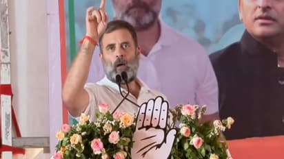 Lok Sabha Election Results 2024: Congress touches 100-mark in early trends, set for biggest tally since 2014