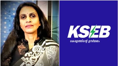 'വേണ്ടത്ര ധാരണയുണ്ടാവില്ല, അബദ്ധജടിലമായ വാദങ്ങള്‍'; ആർ ശ്രീലേഖയുടെ പരാമര്‍ശങ്ങൾ വസ്തുതാവിരുദ്ധമെന്ന് കെഎസ്ഇബി