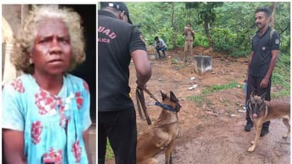 പൊലീസ് നായയ്ക്കും കണ്ടെത്താനായില്ല; കോടാലി കിട്ടിയെങ്കിലും വനത്തിനുള്ളിൽ പോയ വയോധിക കാണാമറയത്ത് തന്നെ