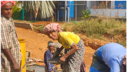 പ്രായമൊക്കെ വെറും നമ്പറല്ലേ മക്കളേ എന്ന് കത്രീനാമ്മ! നാട്ടുകാർക്ക് അത്ഭുതം, ഈ 95കാരിക്ക് ഇതാണ് ജീവിതം