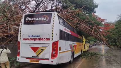ತಪ್ಪಿದ ಭಾರೀ ಅನಾಹುತ; ಬಿರುಗಾಳಿ ಸಹಿತ ಭಾರೀ ಮಳೆಗೆ ಬಸ್ ಮೇಲೆ ಕಳಚಿಬಿದ್ದ ಕಟ್ಟಿಗೆಗಳು!