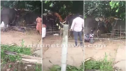 തൃശ്ശൂരിൽ ഉത്സവത്തിനിടെ ഇടഞ്ഞ ആന രണ്ടാമത്തെ ആനയെ കുത്തി, പരസ്പരം കൊമ്പുകോർത്ത് ആനകൾ