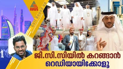 ഒറ്റ വിസയിൽ ചുറ്റിക്കറങ്ങി വരാം ആറ് രാജ്യങ്ങൾ; ടൂറിസം രംഗത്ത്  വിപ്ലവം കൊണ്ടുവരാനൊരുങ്ങി ജിസിസി രാജ്യങ്ങൾ
