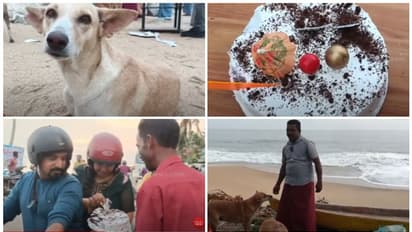 'എല്ലാ ആപത്തിലും കൂടെ നിന്നിട്ടുള്ളവനാ'; തെരുവുനായയുടെ ജന്മദിനമാഘോഷിച്ച് നാട്ടുകാർ, 100 ബിരിയാണി വിതരണം ചെയ്തു