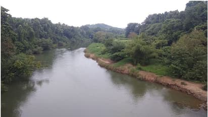 ഇരുവഴിഞ്ഞിപ്പുഴയിൽ കുളിക്കാനിറങ്ങിയത് 20 വിദ്യാർഥികൾ; പാഞ്ഞെത്തിയത് മൂന്ന് നീർനായകൾ, മൂന്ന് പേർക്ക് കടിയേറ്റു