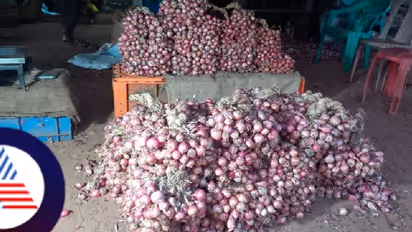  ಹವಾಮಾನ ವೈಪರೀತ್ಯ: ತುಟ್ಟಿಯಾದ ಔಷಧೀಯುಕ್ತ ಕುಮುಟಾ ಈರುಳ್ಳಿ!