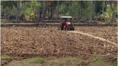 വിണ്ടുകീറിയ പാടങ്ങളിലേക്ക് വേനൽമഴ പെയ്തിറങ്ങി; കർഷകർക്ക് ആശ്വാസം 