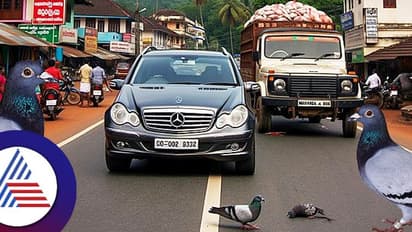 ಪಾರಿವಾಳ ಮರಿ ರಕ್ಷಿಸಿ 2 ಲಕ್ಷ ರೂಪಾಯಿ ಕಳೆದುಕೊಂಡ ಮರ್ಸಿಡಿಸ್ ಬೆಂಜ್ ಮಾಲೀಕ!